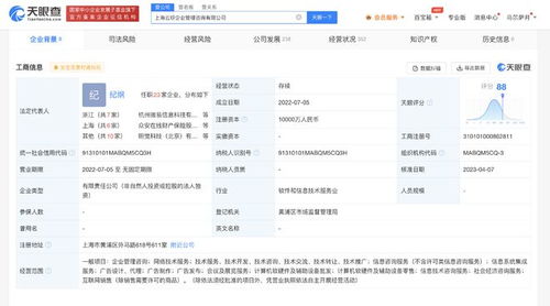 螞蟻集團子公司資本激增9900%，加速布局信息系統集成服務